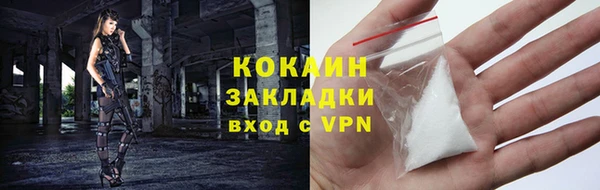 сатива Сафоново