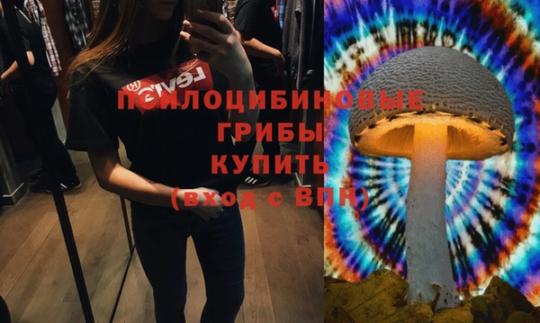 сатива Сафоново